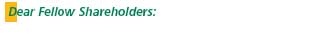 Dear Fellow Shareholders: