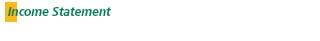 Income Statement