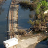Hurricane Katrina Repairs