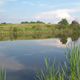 Pocahontas Land Corporation