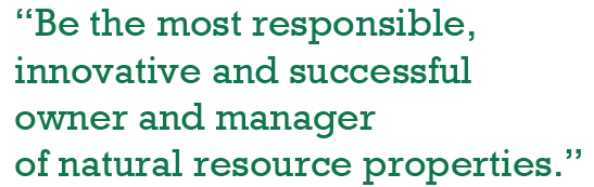 Vision statement