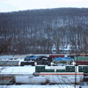 Click to enlarge Snowmageddon on NS