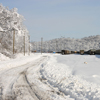 Click to enlarge Snowmageddon on NS
