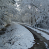 Click to enlarge Snowmageddon on NS