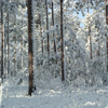 Click to enlarge Snowmageddon on NS