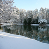 Click to enlarge Snowmageddon on NS