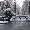 Click to enlarge Snowmageddon on NS